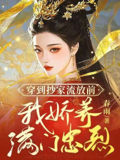穿到抄家流放前，我娇养满门忠烈贺兰声沈斯聿小说 穿到抄家流放前，我娇养满门忠烈小说章节