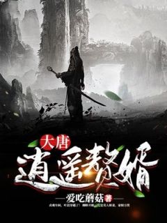 《大唐逍遥赘婿》小说免费阅读 叶晨林清雪小说大结局在线阅读