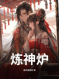 炼神炉全文在线阅读 叶辰玲珑女帝小说全本无弹窗