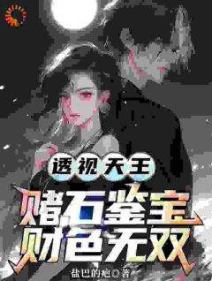 《透视天王：赌石鉴宝财色无双》李秋阳罗刚章节目录免费阅读