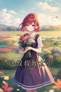 《陆叔叔我太小了》陆棠政宋宝贝全文免费阅读