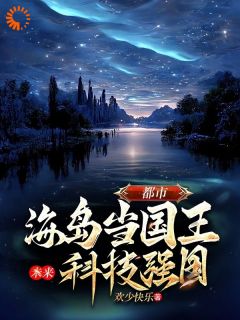 《都市，海岛当国王，未来科技强国》小说全文精彩章节免费试读（王宇张晨宇）