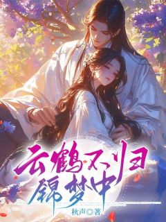 《云鹤不归锦梦中》小说免费阅读 《云鹤不归锦梦中》最新章节列表