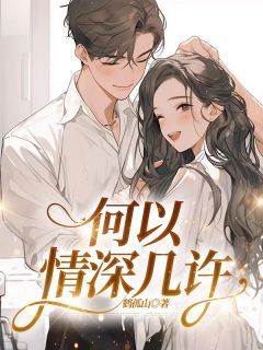 何以情深几许原著小说免费阅读
