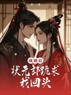 成婚后，状元郎跪求我回头免费阅读(林宁笙宋怀安小说全本资源) 无广告