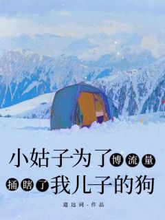 小姑子为了博流量，捅瞎了我儿子的狗免费阅读 周军周海燕苏清欢的小说在线阅读