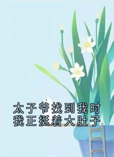 太子爷找到我时我正挺着大肚子全本资源 顾岁岁席宴精彩章节未删减版