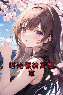 时光辗转离别意小说最新章节免费阅读（完整版未删节）