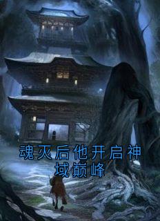 《魂灭后他开启神域巅峰》苍诀蝶羽大结局免费试读
