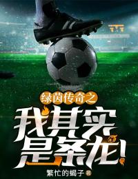 《绿茵传奇之我其实是条龙》小说完结版精彩阅读 周林梅西C罗小说全文