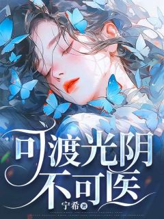 《可渡光阴不可医》小说最新章节免费阅读（完整版未删节）