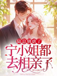 《陆总别虐了，宁小姐都去相亲了》小说完结版免费试读 宁安陆慎川小说全文
