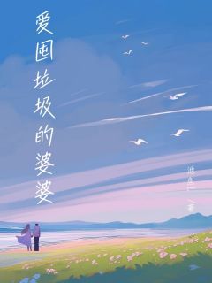 爱囤垃圾的婆婆小说试读 林雪依依李安小说全文章节列表