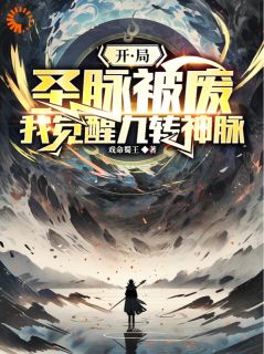 《开局圣脉被废，我觉醒九转神脉》叶晨叶岩峰完结版在线试读