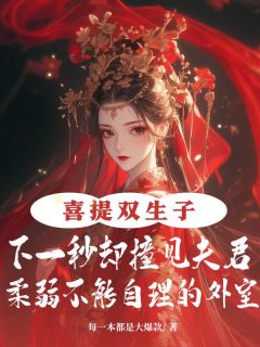 《喜提双生子，下一秒却撞见夫君柔弱不能自理的外室》小说全文在线阅读 《喜提双生子，下一秒却撞见夫君柔弱不能自理的外室》最新章节列表