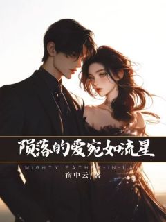 坠落的爱，宛如流星沈心盈裴瑾铭小说在线阅读全文章节目录完整版
