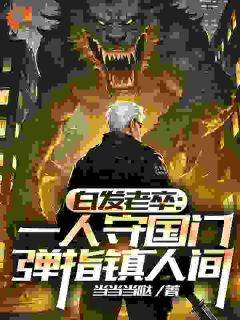 《白发老卒：一人守国门弹指镇人间》小说全文精彩章节免费试读（李苍澜李小天）
