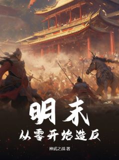 明末：从零开始造反全章节免费在线阅读 李毅云娘小说完结版