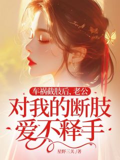 《车祸截肢后，老公对我的断肢爱不释手》小说章节列表精彩阅读 段孟阿黎小说全文