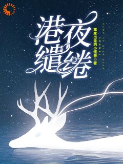 精品《港夜缱绻》小说在线阅读 张景淮桑蝉小说全集无删减全文