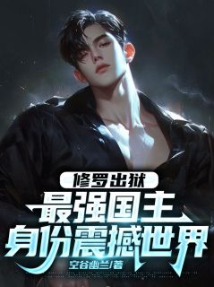 《修罗出狱：最强国主身份震撼世界》小说章节免费试读 叶枫王建军小说阅读