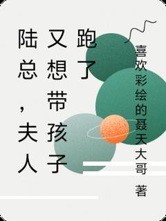 陆总，夫人又想带孩子跑了林悦陆逸辰全文在线阅读