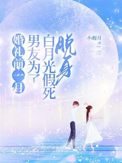 小说《婚礼前一月，男友为了白月光假死脱身》凌景闫陈砾江茶全文免费阅读