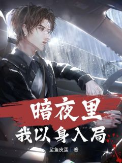 《暗夜里我以身入局》精彩章节列表在线试读 韩枫关云霆小说