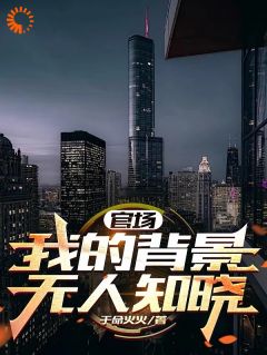 徐天来刘阳by于命火火 都市：我在官场上逆袭人生阅读全文