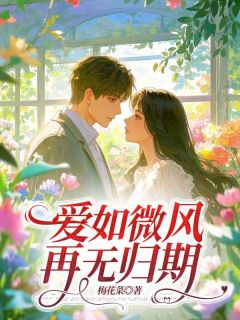 《爱如微风，再无归期》舒艺贺骏辰大结局免费试读