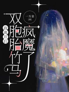 我离开后，双胞胎竹马疯魔了小说全文免费阅读 程南沈潇潇章节目录精彩章节