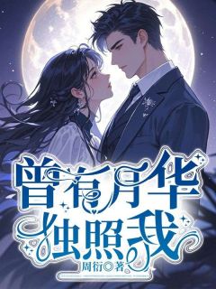 《曾有月华独照我》小说章节目录免费阅读 宋晓英林文哲小说全文