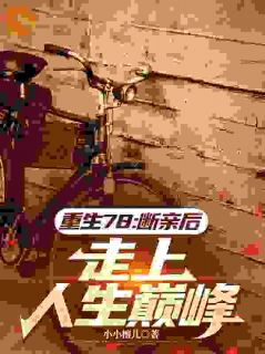 《重生78：断亲后，走上人生巅峰》陆远陆苗章节免费阅读