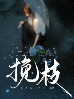 (无弹窗)挽枝小说