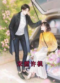 《宋燃许枫》许枫闻懿宋燃精彩内容在线阅读