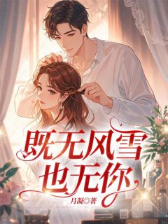 《既无风雪也无你》小说在线阅读 《既无风雪也无你》最新章节列表