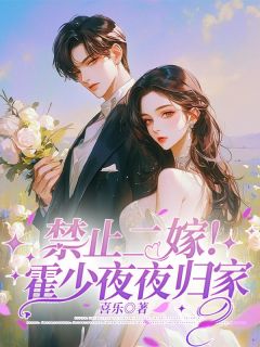 《禁止二嫁！霍少夜夜归家》秦晚霍则奕大结局精彩阅读