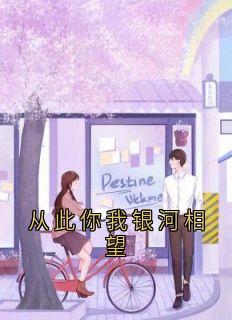 《从此你我银河相望》全文精彩章节在线阅读（沈时愿谢聿深）