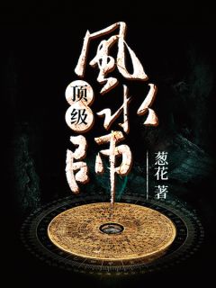 顶级风水师杨晨沈金兰 by葱花完整在线阅读