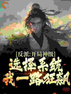 《反派：开局神级选择系统，我一路狂飙》小说全文免费试读 陆尘叶不凡小说全文