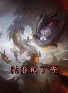 《我变成了光》小说全文在线阅读 《我变成了光》最新章节列表
