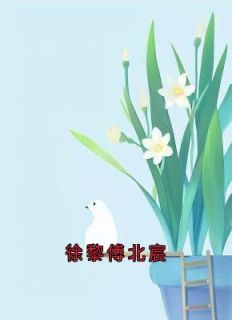 徐黎傅北宸