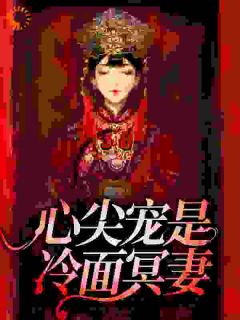 心尖宠是冷面冥妻孟子辰孟乾震小说全部章节目录