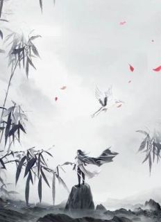 《第1章 寂灭十年叶无缺》小说章节在线试读 叶无缺慕容冰兰小说阅读