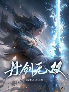 丹剑无双完整版 叶天莫依依全章节阅读