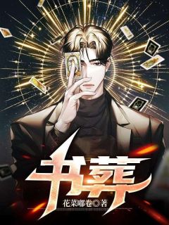《书葬》刘墨辰冯丽完结版在线试读