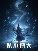 以小博大(江澈紫薇仙子)全文完结免费试读精彩章节