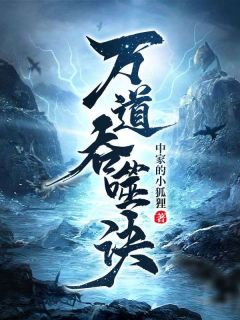 精品热文《十大仙帝追杀，我反手吞噬》沈天沈枫小说全文精彩章节免费试读无删减