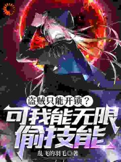 青春小说《盗贼只能开锁？可我能无限偷技能》主角风九元凤全文精彩内容免费阅读