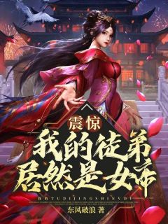 震惊！我的徒弟居然是女帝完整版全文阅读 秦天苏岚 大结局